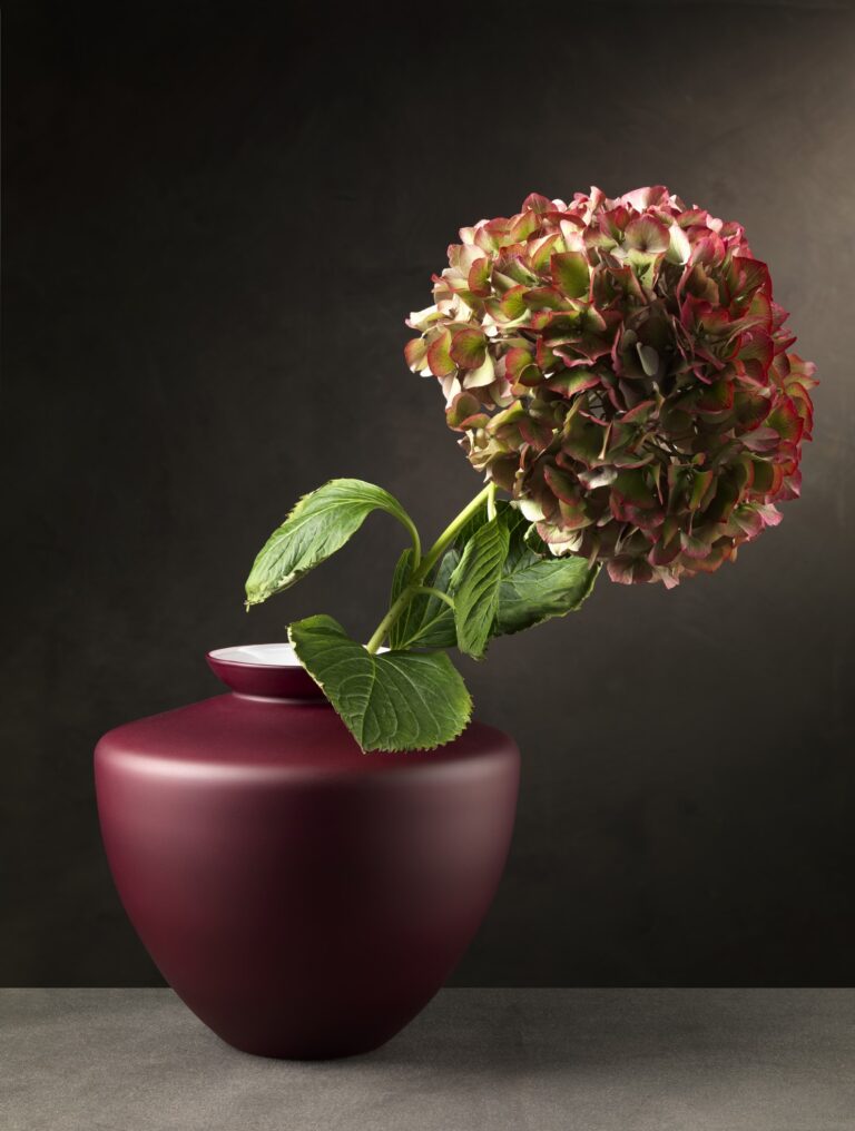 0088715_8716_CAPALBIO52